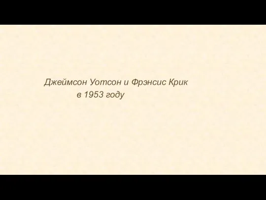 Джеймсон Уотсон и Фрэнсис Крик в 1953 году