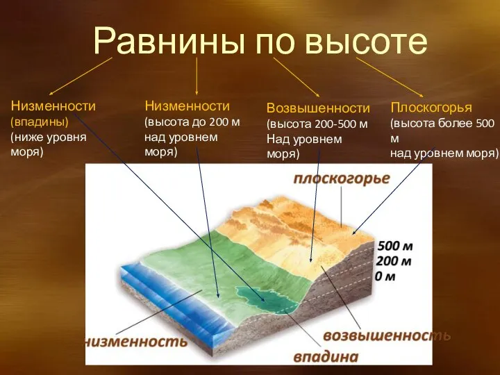 Равнины по высоте Низменности (впадины) (ниже уровня моря) Низменности (высота до 200