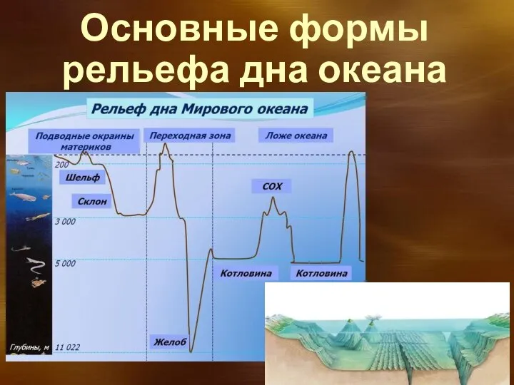 Основные формы рельефа дна океана