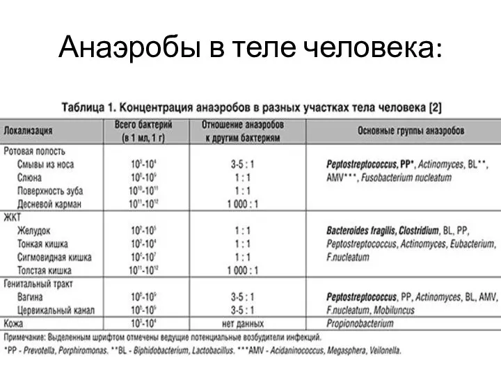 Анаэробы в теле человека: