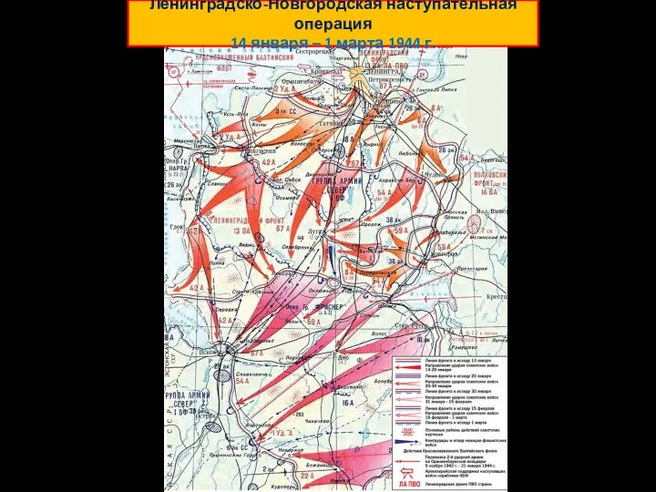 Ленинградско-Новгородская наступательная операция 14 января – 1 марта 1944 г.