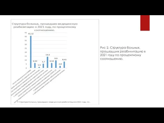 Рис 2. Структура больных, прошедших реабилитацию в 2021 году по процентному соотношению.