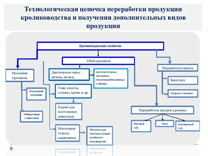 Технологическая цепочка переработки продукции кролиководства и получения дополнительных видов продукции