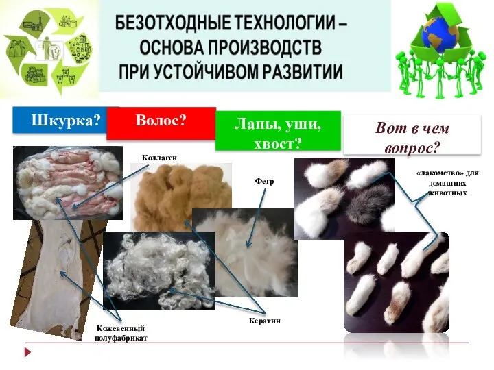 Шкурка? Волос? Лапы, уши, хвост? Вот в чем вопрос? «лакомство» для домашних