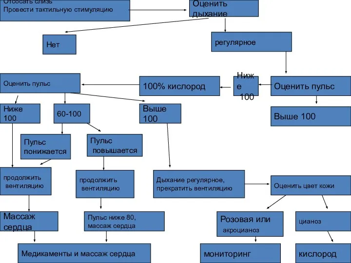 Отсосать слизь Провести тактильную стимуляцию Оценить дыхание Нет 60-100 100% кислород Оценить