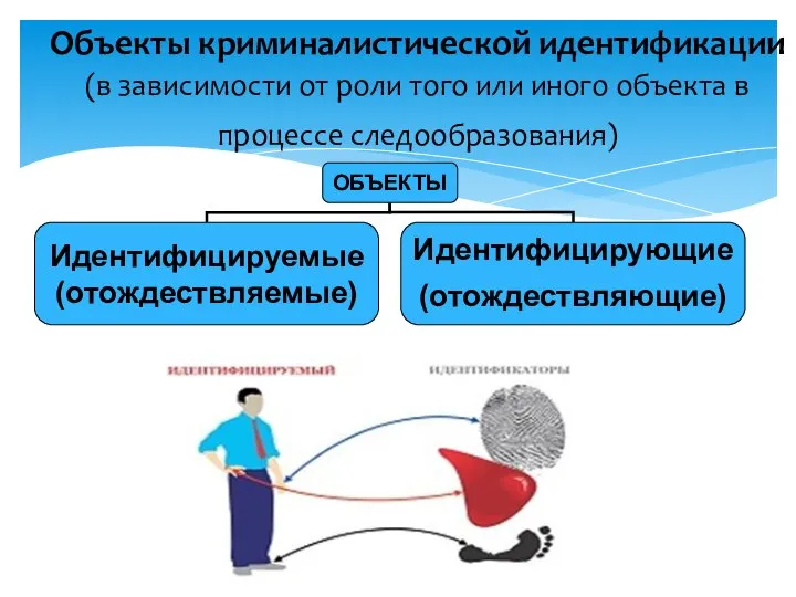 Объекты криминалистической идентификации (в зависимости от роли того или иного объекта в процессе следообразования)