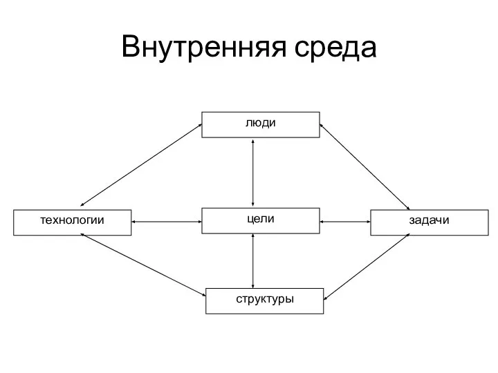 Внутренняя среда