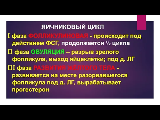 ЯИЧНИКОВЫЙ ЦИКЛ I фаза ФОЛЛИКУЛИНОВАЯ - происходит под действием ФСГ, продолжается ½