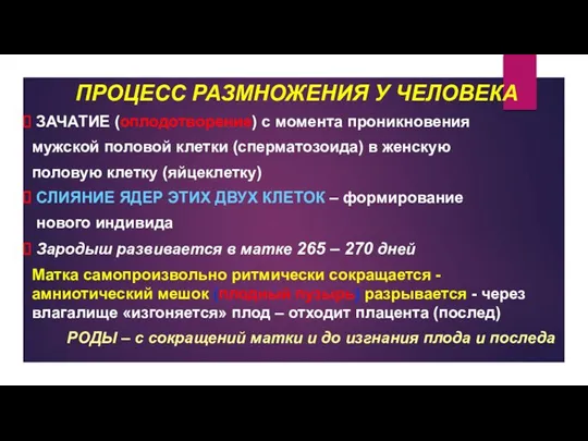 ПРОЦЕСС РАЗМНОЖЕНИЯ У ЧЕЛОВЕКА ЗАЧАТИЕ (оплодотворение) с момента проникновения мужской половой клетки