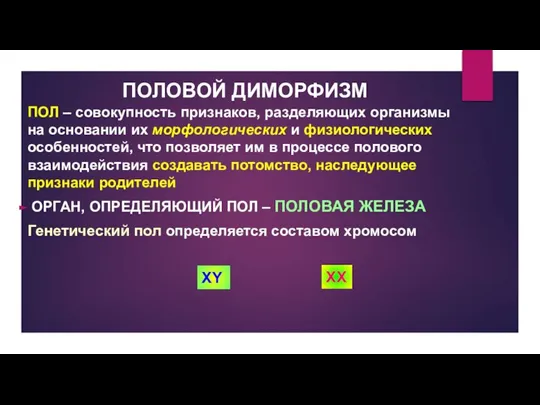 ПОЛОВОЙ ДИМОРФИЗМ ПОЛ – совокупность признаков, разделяющих организмы на основании их морфологических