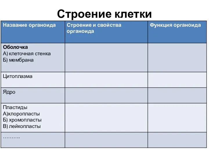 Строение клетки