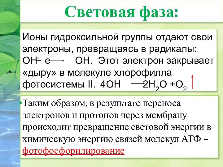 Ионы гидроксильной группы отдают свои электроны, превращаясь в радикалы: ОН- е ОН.