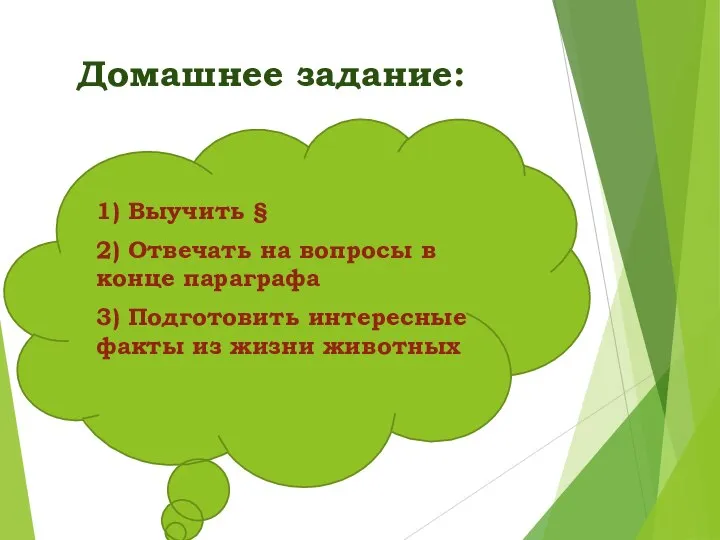 Домашнее задание: 1) Выучить § 2) Отвечать на вопросы в конце параграфа