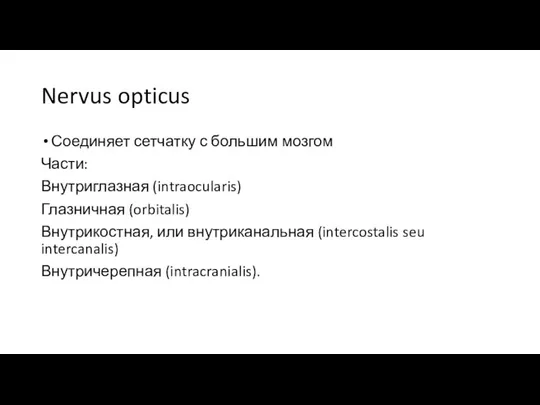 Nervus opticus Соединяет сетчатку с большим мозгом Части: Внутриглазная (intraocularis) Глазничная (orbitalis)