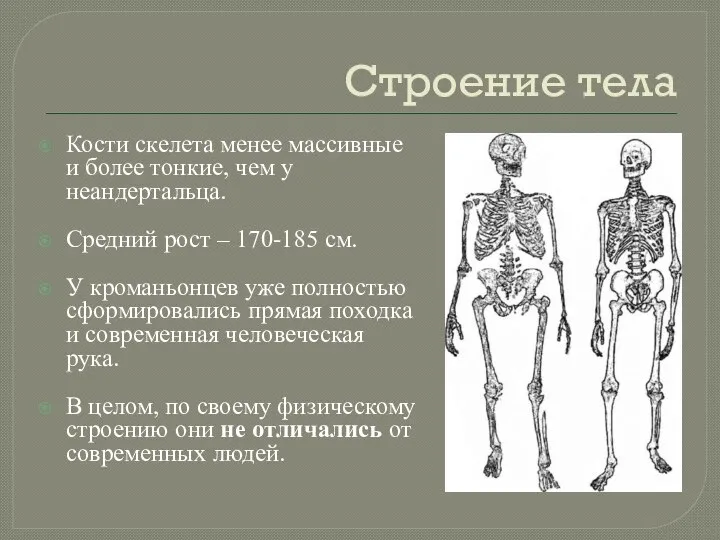 Строение тела Кости скелета менее массивные и более тонкие, чем у неандертальца.