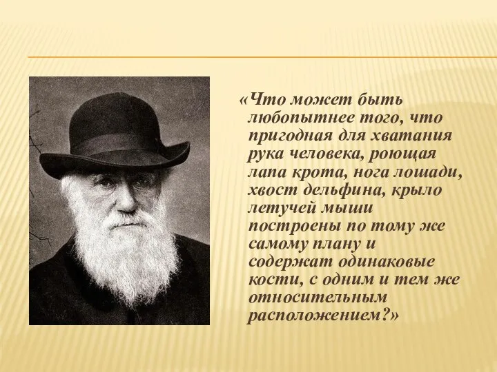 «Что может быть любопытнее того, что пригодная для хватания рука человека, роющая