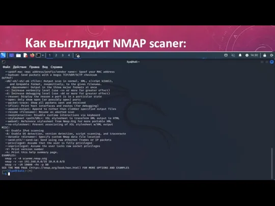 Как выглядит NMAP scaner: