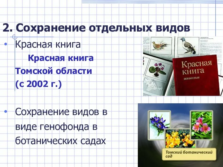2. Сохранение отдельных видов Красная книга Красная книга Томской области (с 2002