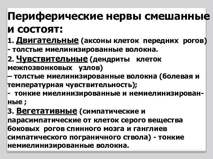 Периферические нервы смешанные и состоят: 1. Двигательные (аксоны клеток передних рогов) -