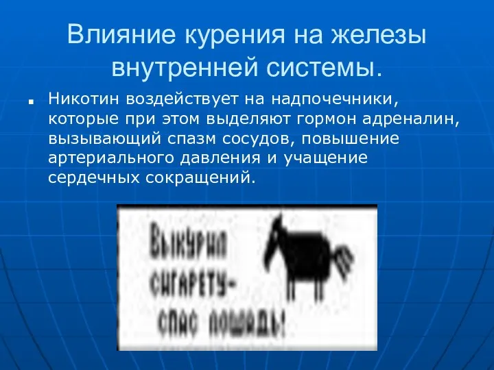 Влияние курения на железы внутренней системы. Никотин воздействует на надпочечники, которые при