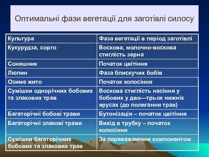 Оптимальні фази вегетації для заготівлі силосу