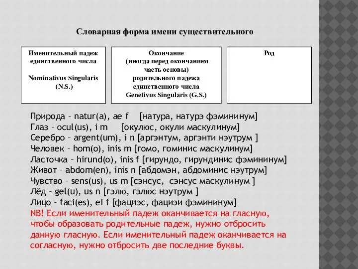 Именительный падеж единственного числа Nominativus Singularis (N.S.) Окончание (иногда перед окончанием часть