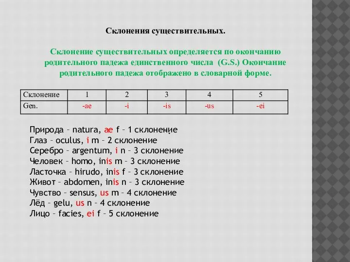 Склонения существительных. Склонение существительных определяется по окончанию родительного падежа единственного числа (G.S.)