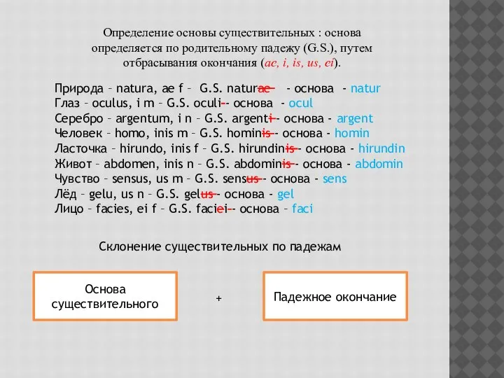 Определение основы существительных : основа определяется по родительному падежу (G.S.), путем отбрасывания