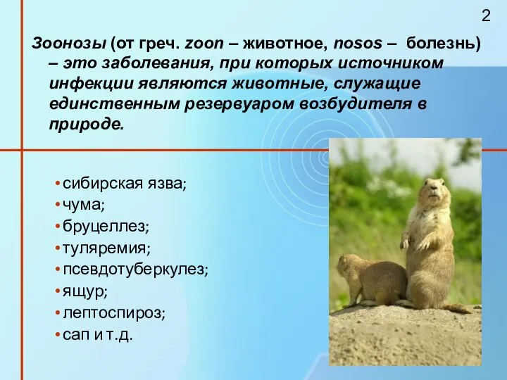 Зоонозы (от греч. zoon – животное, nosos – болезнь) – это заболевания,