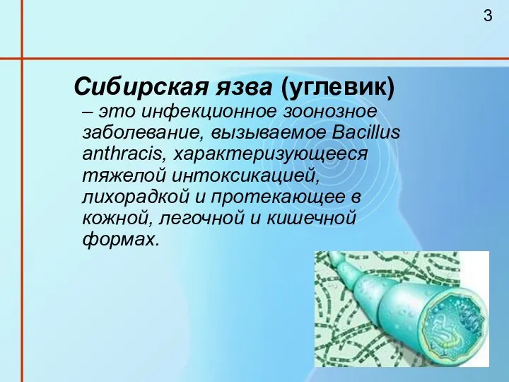 Сибирская язва (углевик) – это инфекционное зоонозное заболевание, вызываемое Bacillus anthracis, характеризующееся