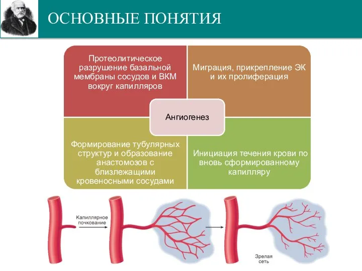 ОСНОВНЫЕ ПОНЯТИЯ