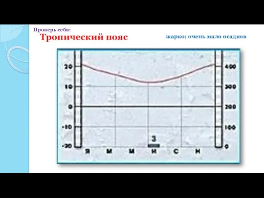 Тропический пояс жарко; очень мало осадков Проверь себя: