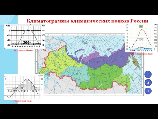 Климатограммы климатических поясов России Умеренный пояс Арктический пояс Субарктический пояс 2 3 1