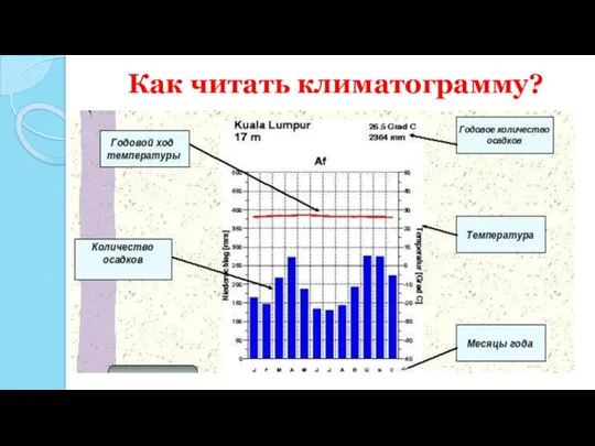 Как читать климатограмму?