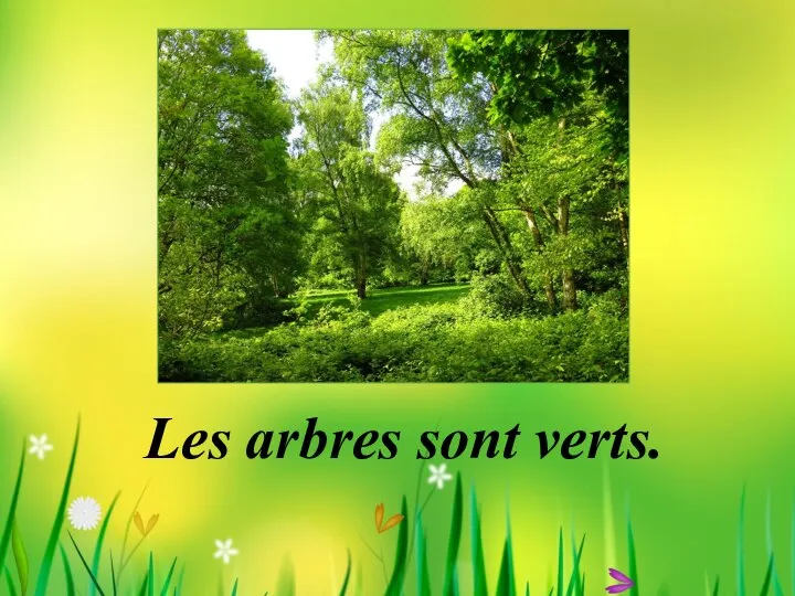 Les arbres sont verts.