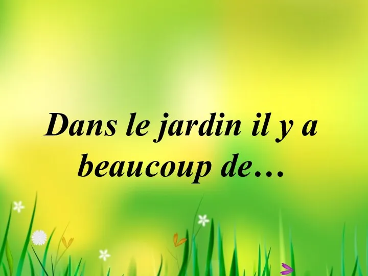 Dans le jardin il y a beaucoup de…