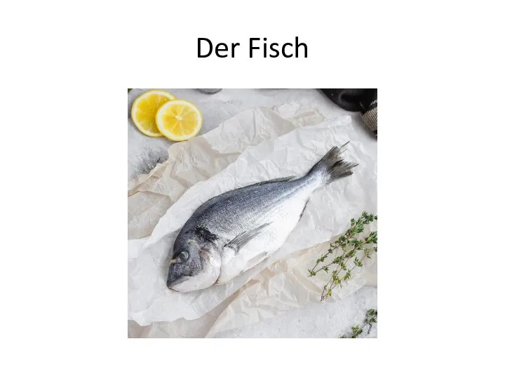 Der Fisch