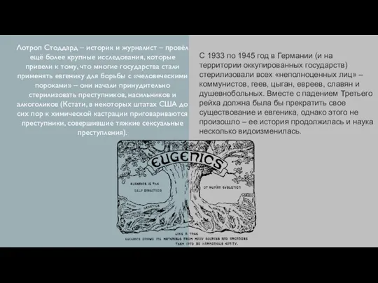 Лотроп Стоддард – историк и журналист – провёл ещё более крупные исследования,