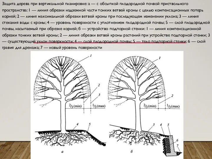 Защита дерева при вертикальной планировке: а — с обсыпкой плодородной почвой приствольного