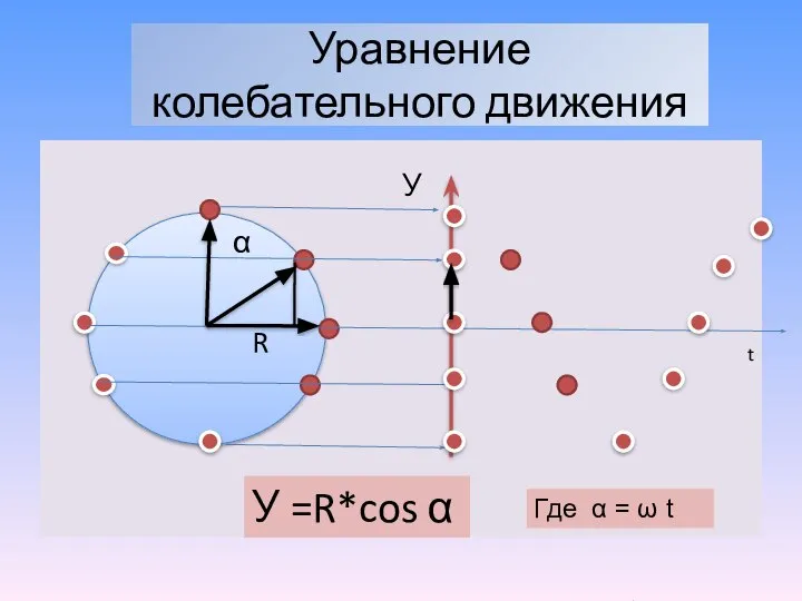 Уравнение колебательного движения α У R У =R*cos α t Где α = ω t
