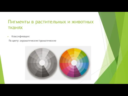 Пигменты в растительных и животных тканях Классификация: По цвету: ахроматические/хроматические