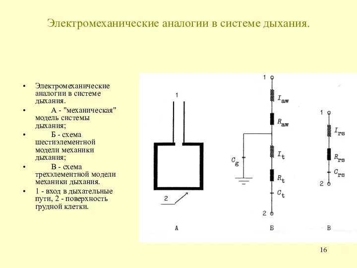 Электромеханические аналогии в системе дыхания. Электромеханические аналогии в системе дыхания. А -