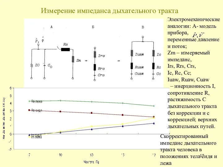 Измерение импеданса дыхательного тракта Скорректированный импеданс дыхательного тракта человека в положениях тела