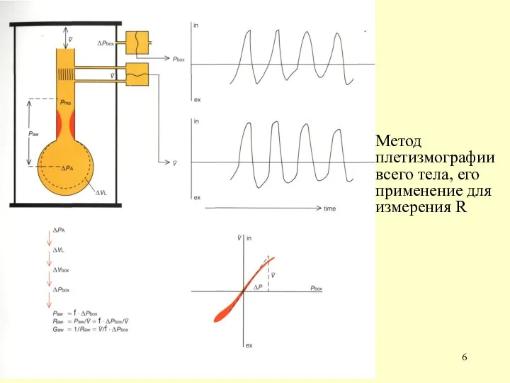 Метод плетизмографии всего тела, его применение для измерения R