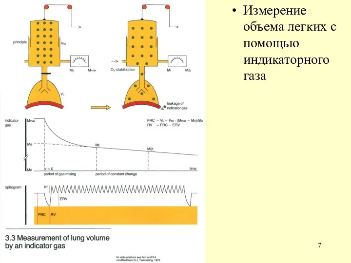 Измерение объема легких с помощью индикаторного газа