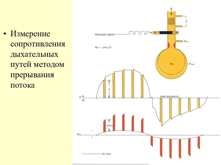 Измерение сопротивления дыхательных путей методом прерывания потока