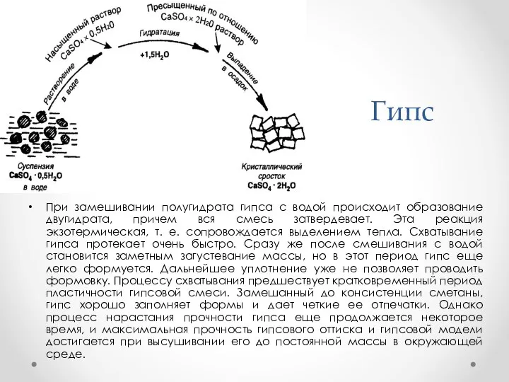 Гипс При замешивании полугидрата гипса с водой происходит образование двугидрата, причем вся