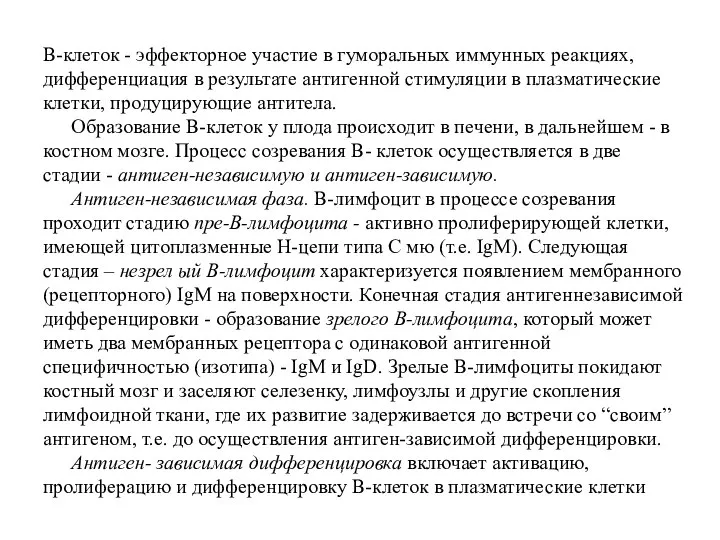 В-клеток - эффекторное участие в гуморальных иммунных реакциях, дифференциация в результате антигенной