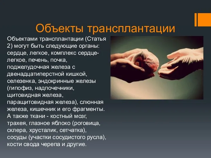 Объекты трансплантации Объектами трансплантации (Статья 2) могут быть следующие органы: сердце, легкое,