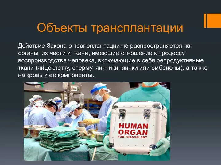 Объекты трансплантации Действие Закона о трансплантации не распространяется на органы, их части